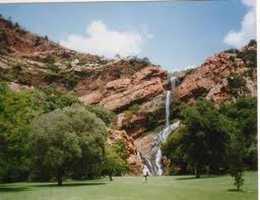Johannesburg Botanical Gardens